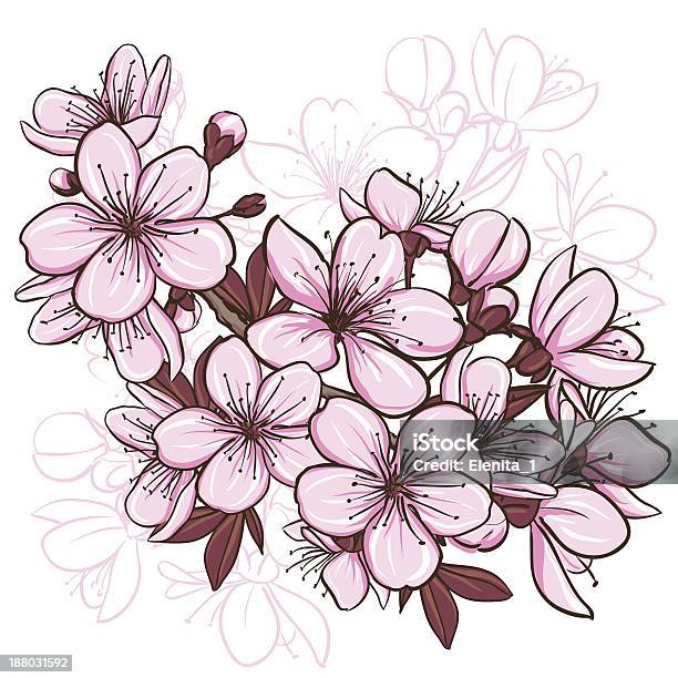 Cherry Blossom Stock Illustration - Download Image Now - Beauty, Beauty In Nature, Blossom