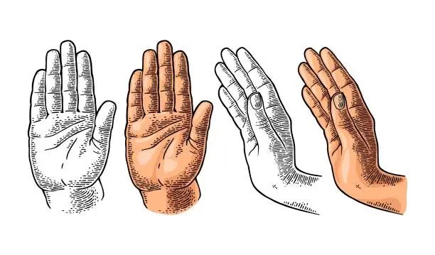 Vector illustration of Hand showing stop gesture. Front and side view. Vector vintage engraving illustration