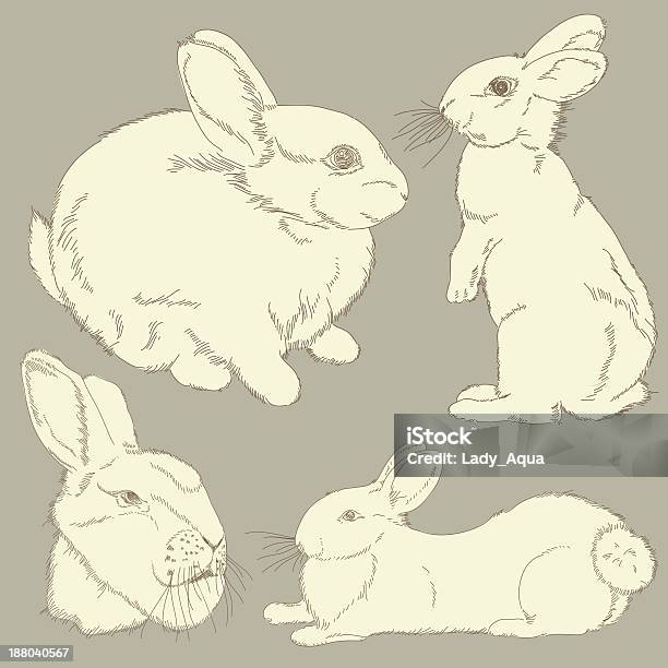 Ilustración de Conejos y más Vectores Libres de Derechos de Animal - Animal, Anticuado, Arte