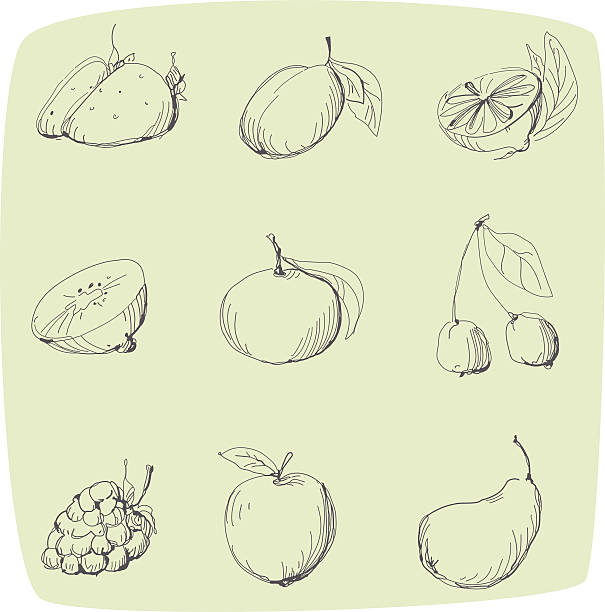 Hand drawn set of fruit Hand drawn set of fruit. EPS 10. No transparency. No gradients. green apple on green background stock illustrations
