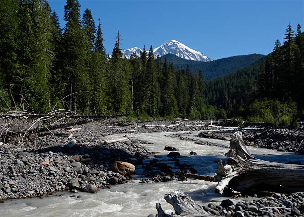 istock Mt. Rainier's Tahoma Creek 188041897