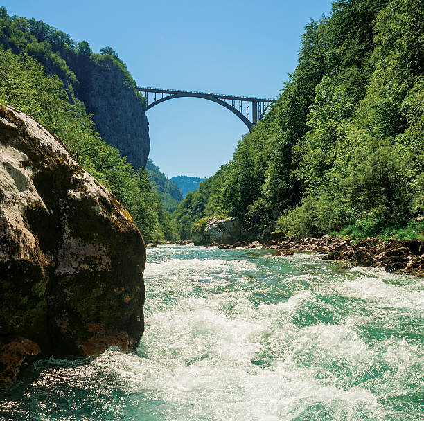 istock White Water Rafting on Tara River - Montenegro 188044212