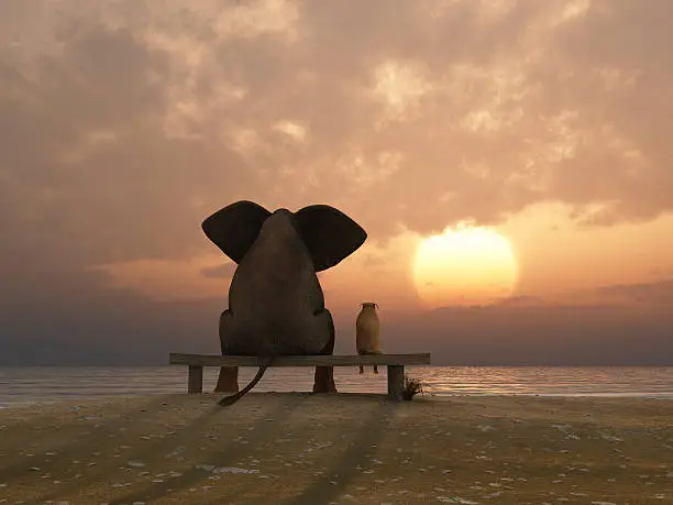 Photo of elephant and dog sit on a summer beach