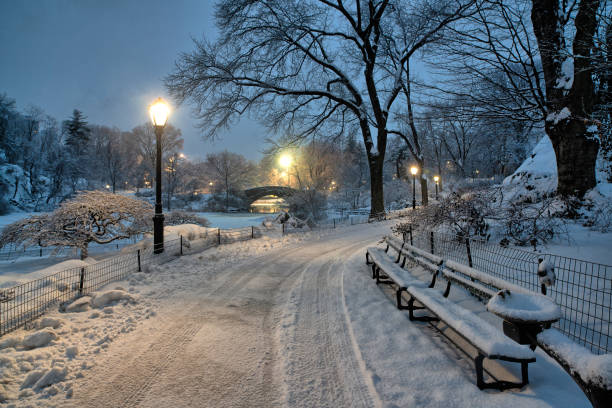 istock Central Park in winter  after snow 1880469247