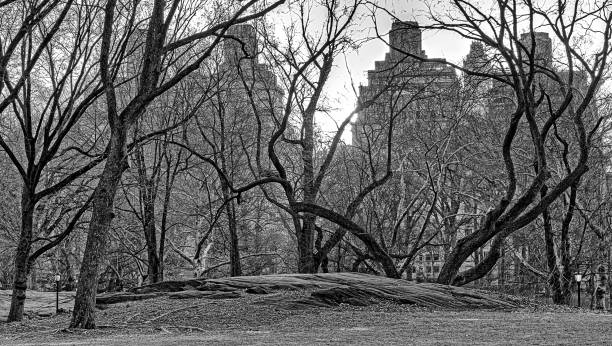istock Autumn in Central Park 1880469753