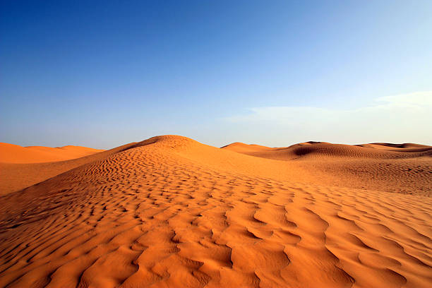 istock Desert of Sahara 188047050