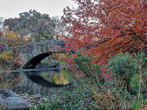 istock Gapstow Bridge in Central Park, autumn 1880470786