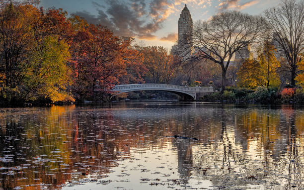 istock Bow bridge  in late autumn 1880472330