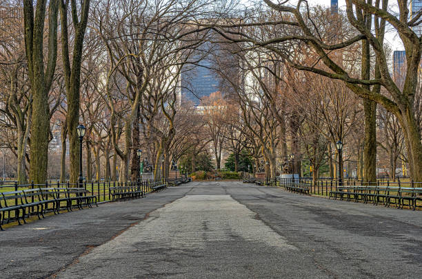 istock Central Park the Mall in winter 1880473357