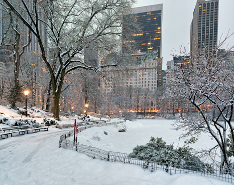 Winter in Central Park, New York City
