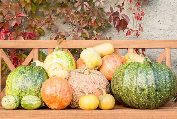 Autumn Pumpkin Harvest stock photo
