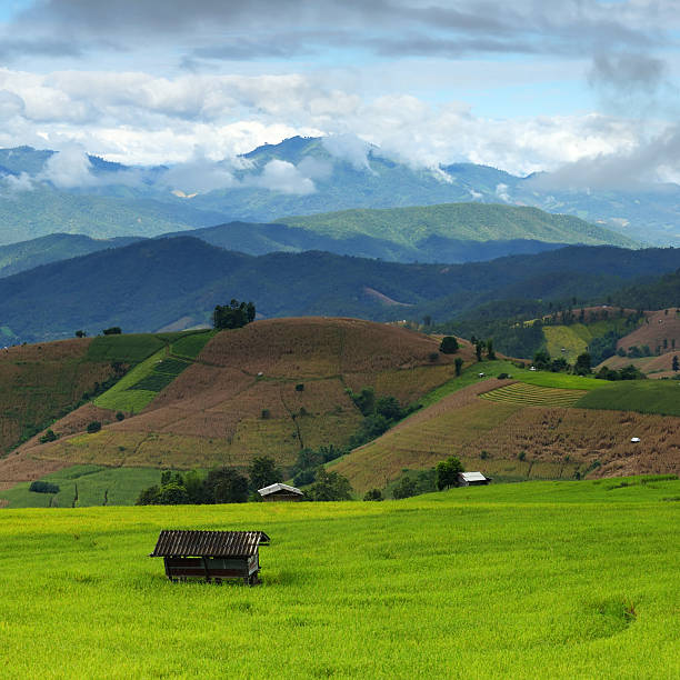 istock Old cottage in a rice terraces 188048264