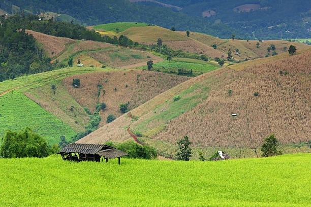istock Old cottage in a rice terraces 188048363