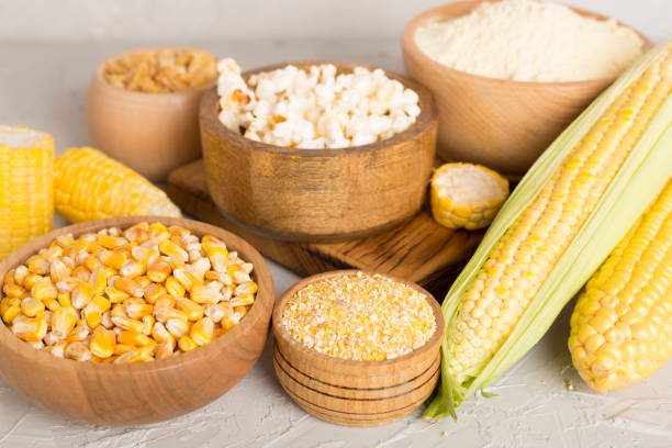 istock Maize products with fresh corn cobs on wooden table 1880490116