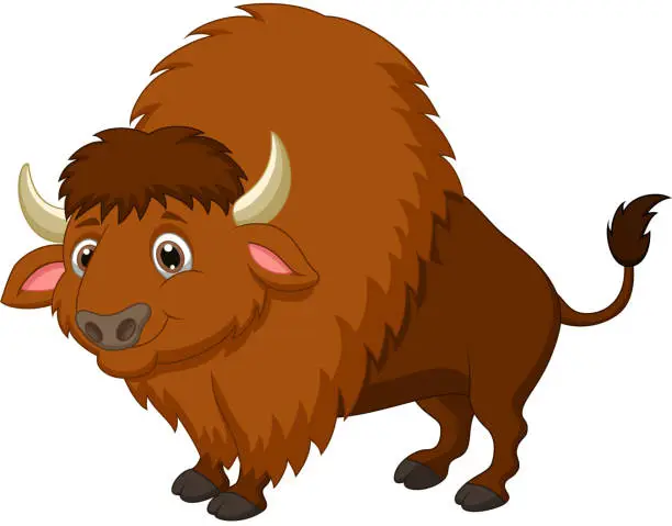Vector illustration of Bison cartoon