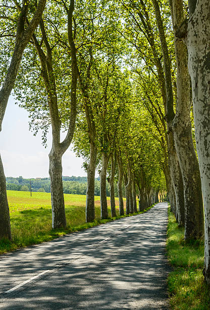 istock Road near Albi (France) 188051052