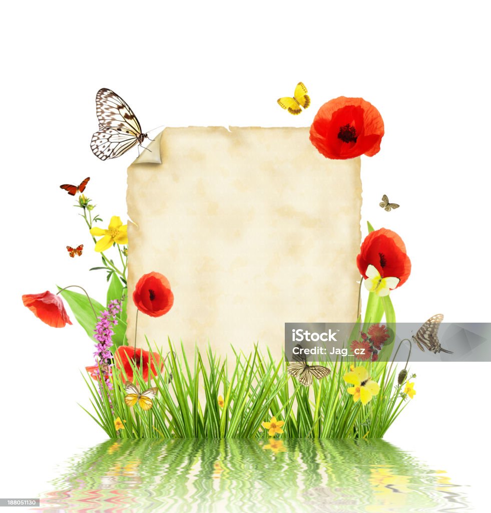 Spring concept Concept of spring with blank paper for text. isolated on white background Abstract Stock Photo