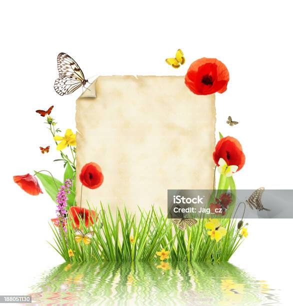 Spring Concept Stock Photo - Download Image Now - Abstract, Beauty In Nature, Blossom