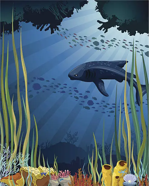 Vector illustration of Whale shark and coral reef.