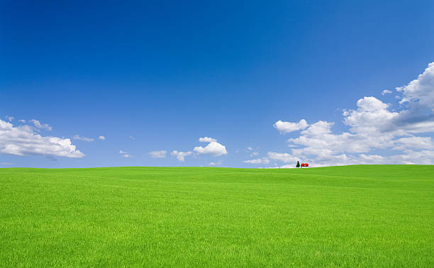 istock Green hill and red roof house 188056086