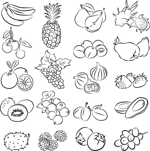 owoce - fig apple portion fruit stock illustrations