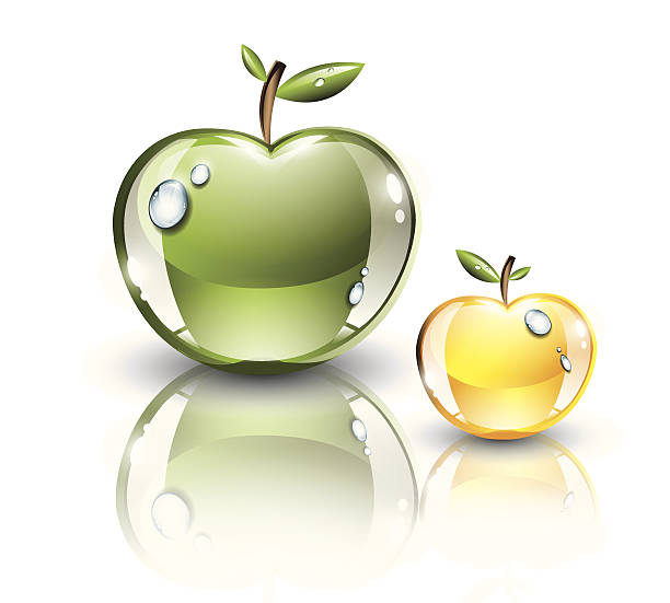 Two apples vector art illustration