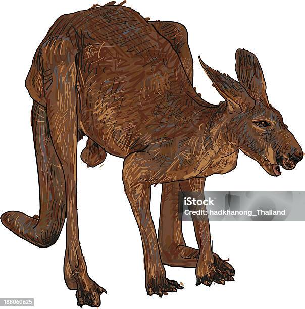 Kangaroo Stock Illustration - Download Image Now - Animal, Animal Body Part, Animal Hair