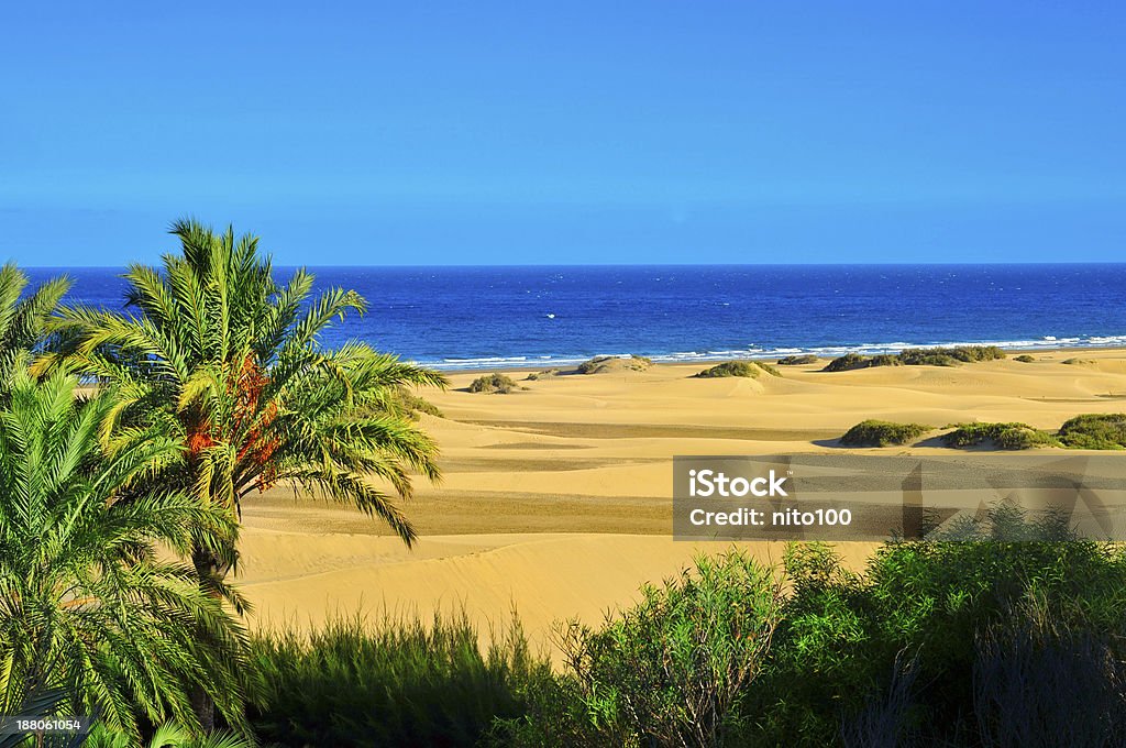 Natural Reserve of Maspalomas Dunes, in Gran Canaria a view of the Natural Reserve of Dunes of Maspalomas, in Gran Canaria, Canary Islands, Spain Grand Canary Stock Photo