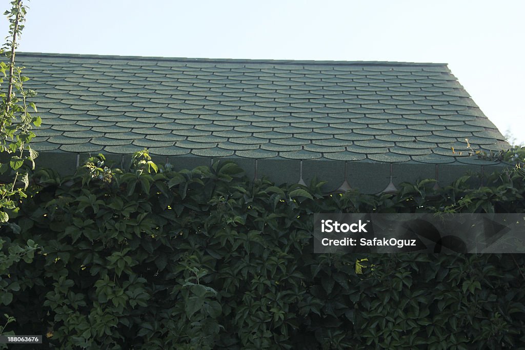 Roof Architectural Feature Stock Photo