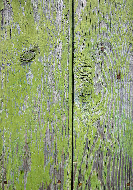 istock Background - old wood painted green 188063904