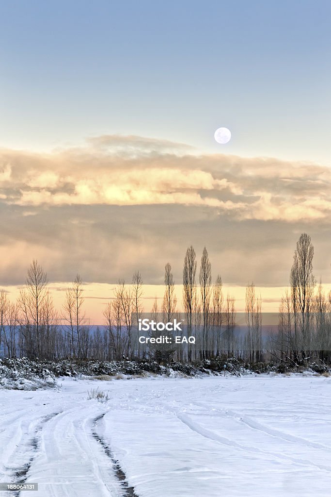 Winter landscape Winter landscape at sunset with the moon in the sky. Mendoza, Argentina. Argentina Stock Photo