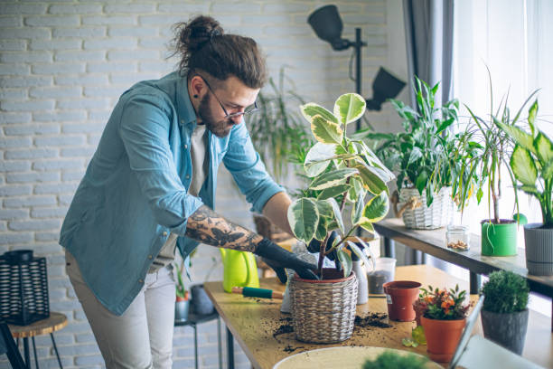 istock Watering my house plants 1880652223