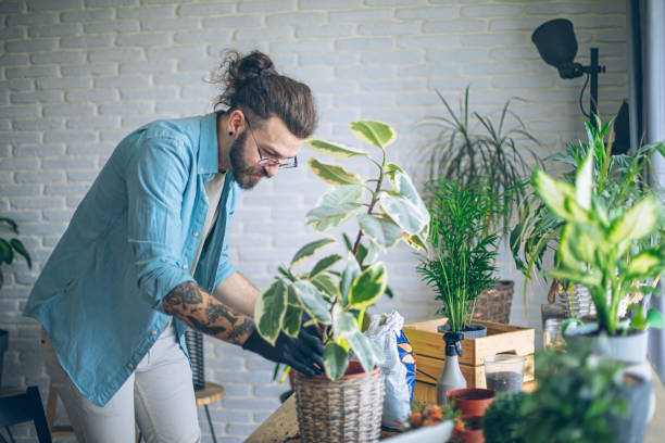 istock Watering my house plants 1880653236