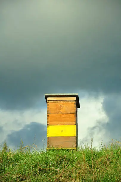 Beekeeping with Clouds in Background.