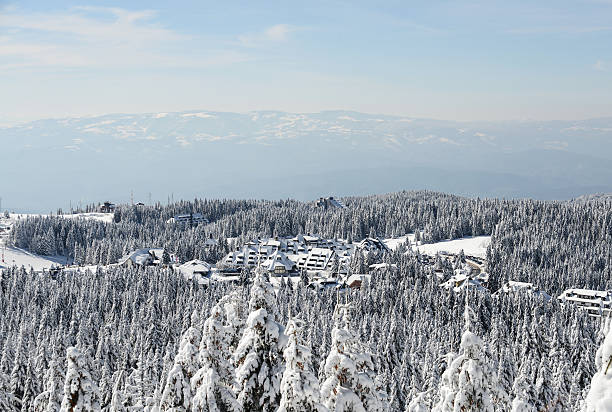 istock winter mountain village landscape 188066146