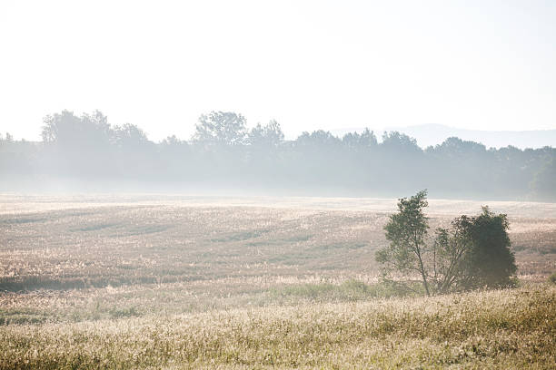 morning countryside stock photo