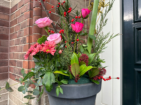 Pink roses, chrysanthemum, pine branches, eucalyptus, cotoneaster in a winter planter at the house entrance