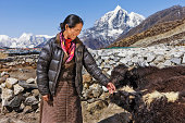 alte-nepali-frau-hearding-yaks.jpg?b=1&s