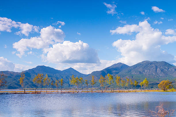 automne zone humide - lijiang landscape wetland marsh photos et images de collection