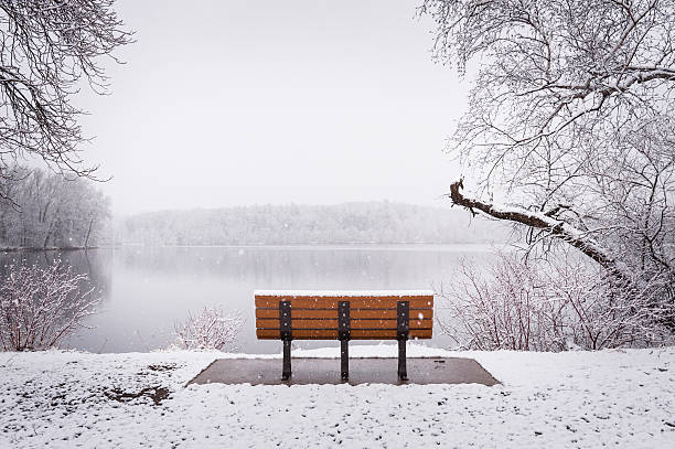 Bench facing lake during fresh snowfall stock photo