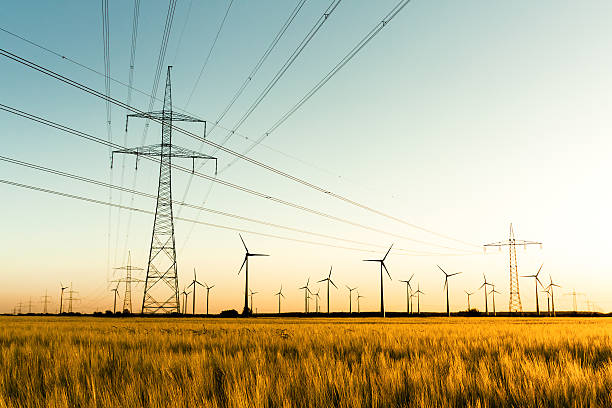 Power poles and wind turbines in autumn sunlight Corn field with power poles and wind turbines. Photo taken in autumn sunlight shortly before sunset. windmill sunset stock pictures, royalty-free photos & images