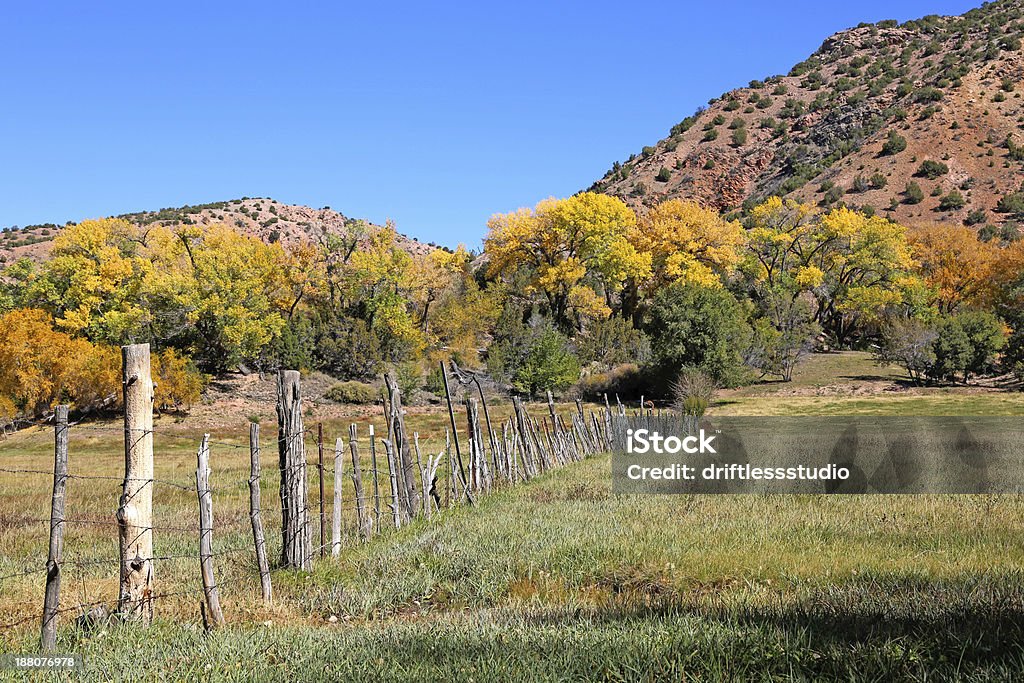 Campo e parete in autunno nel New Mexico - Foto stock royalty-free di Autunno