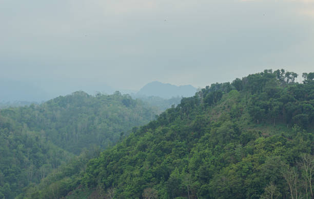istock The mountains are full of green trees 1880778053