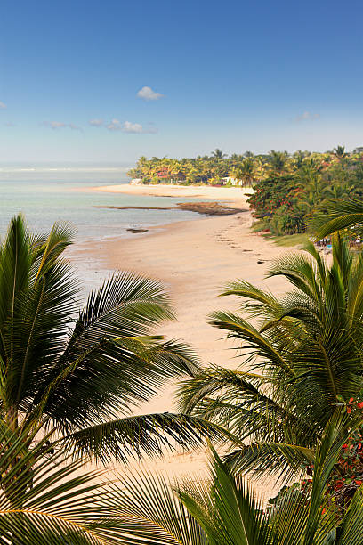 istock Arraial d'Ajuda beach in Bahia 188079562