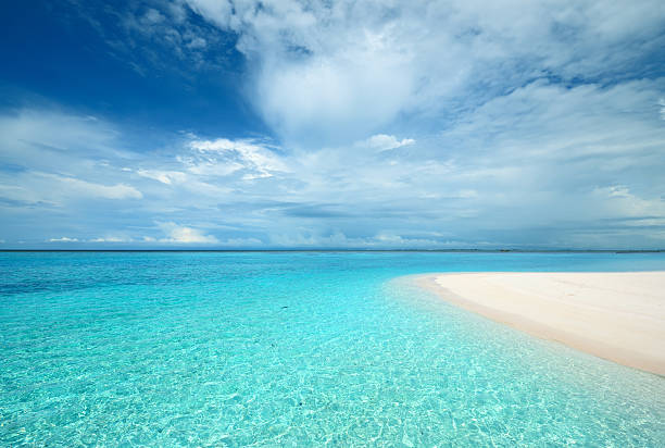 istock Crystal clear turquoise water at tropical beach 188079741