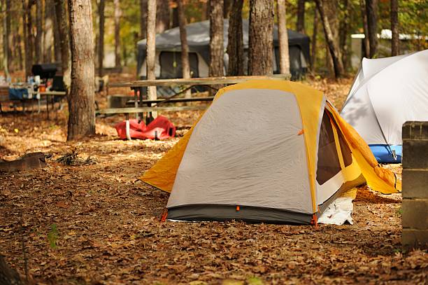 istock Tents in wooded campground 188079814