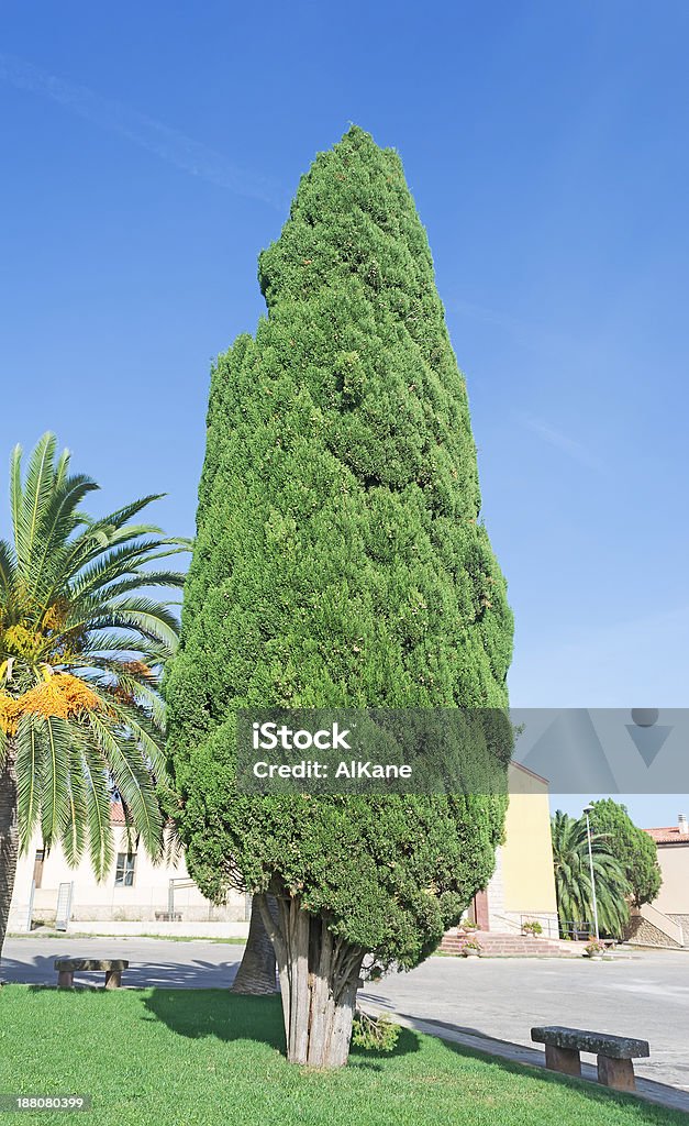 cypress no o quadrado - Royalty-free Aldeia Foto de stock