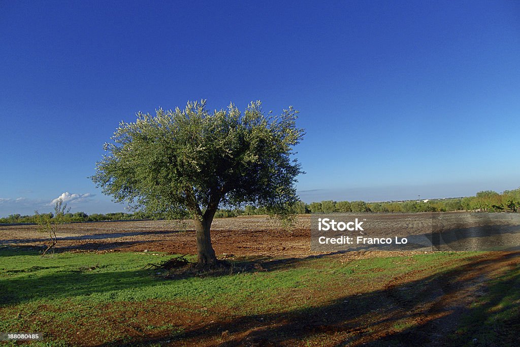 Landschaft von Apulien land. - Lizenzfrei Blau Stock-Foto