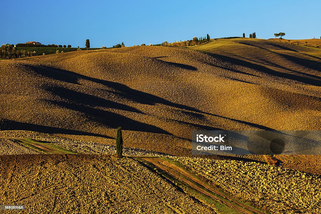 Rolling Landscape With Country Road And Lonely Cypress Tree, Tuscany Tuscan rolling hills Agricultural Field Stock Photo