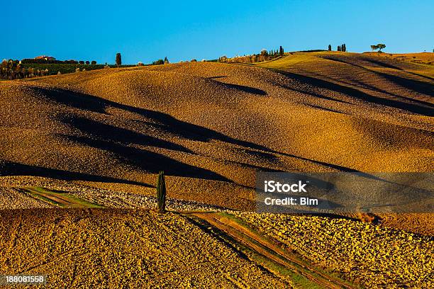 Rolling Landscape With Country Road And Lonely Cypress Tree Tuscany Stock Photo - Download Image Now